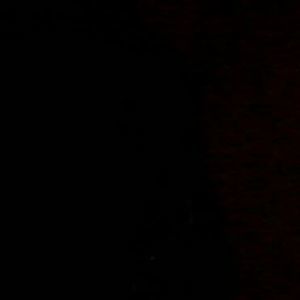 Meet your Posher, Roy